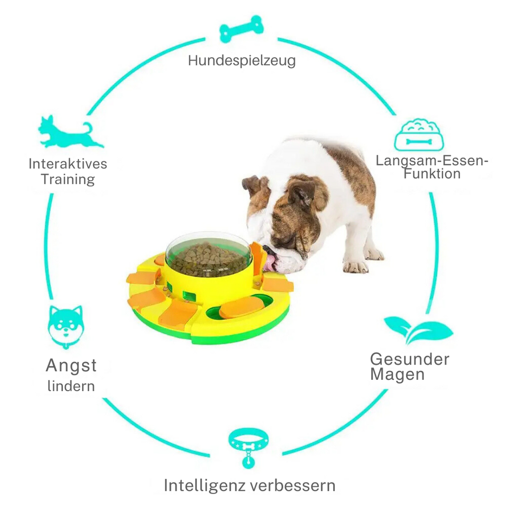 Dog pressing the pedal on the puzzle feeder