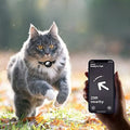 Milo cat collar with safety breakaway clasp