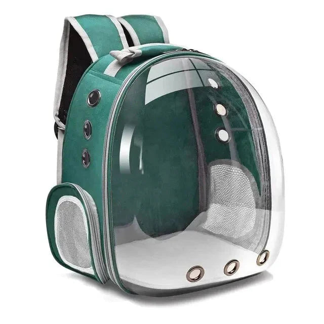 Bubble capsule pet backpack colours