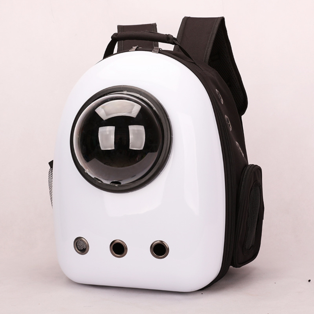 Cat backpack carrier shown in several designs