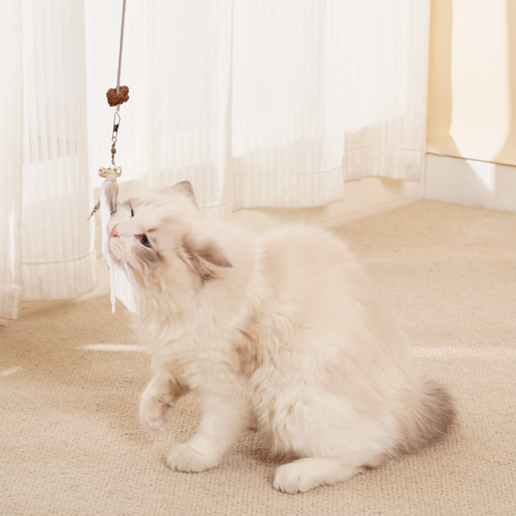 Hanging treat-dispensing cat toy