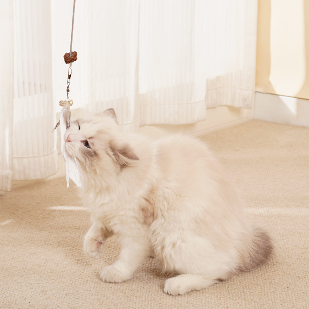 Hanging treat-dispensing cat toy