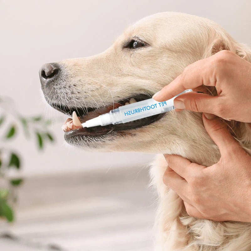 Dental care pen for pets