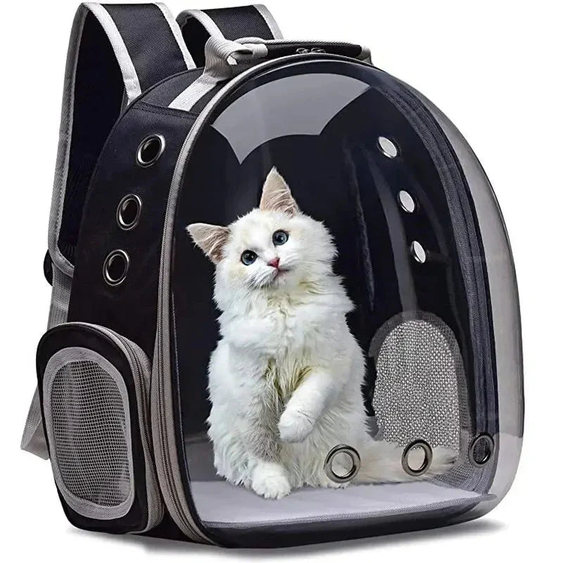 Bubble capsule pet backpack
