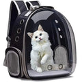 Bubble capsule pet backpack
