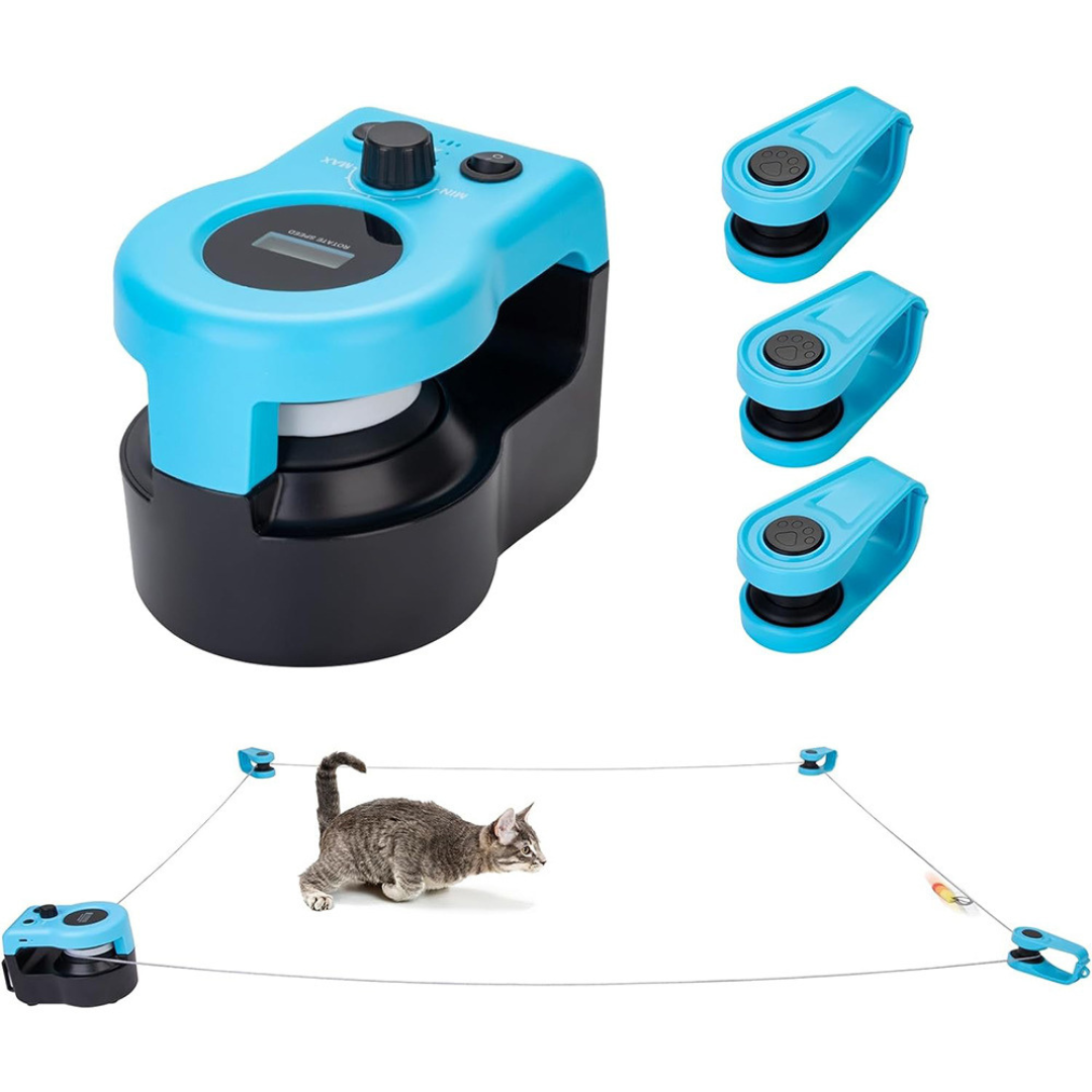 Cat pouncing at the string chase toy