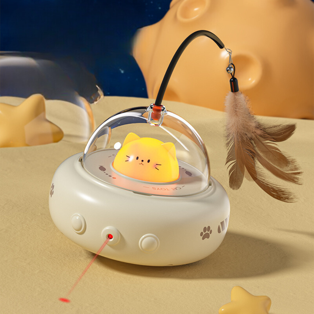 Cat chasing the UFO laser toy