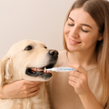 Dental care pen for pets