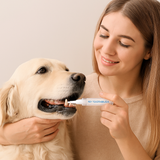 Dental care pen for pets