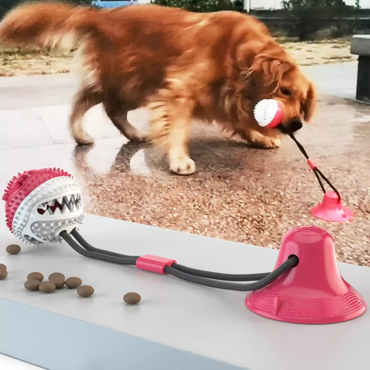PowerPaw durable dog tug rope toy