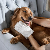 Pet cleaning glove wipe being used on a dog's coat
