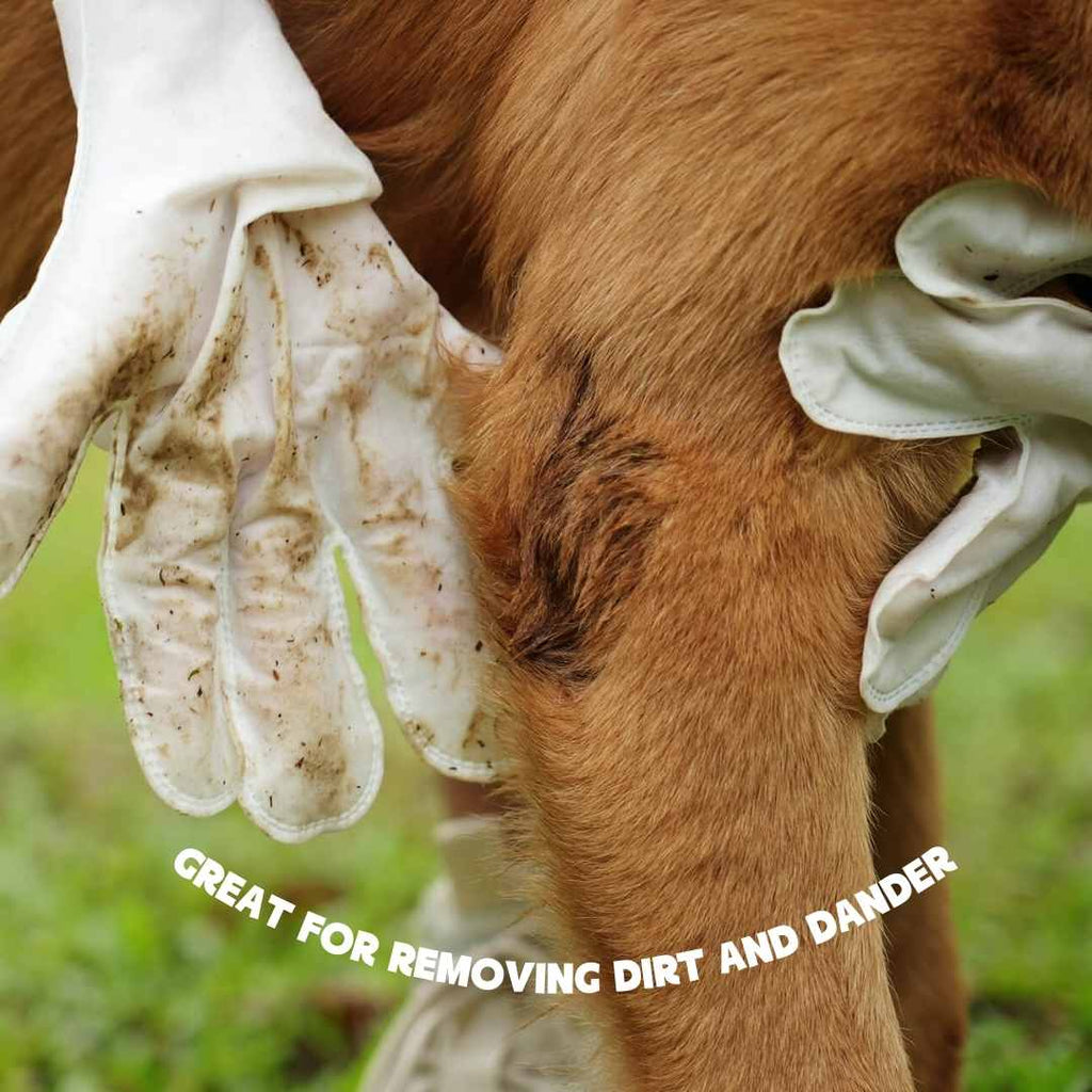 Close-up of the textured glove wipe for waterless pet grooming