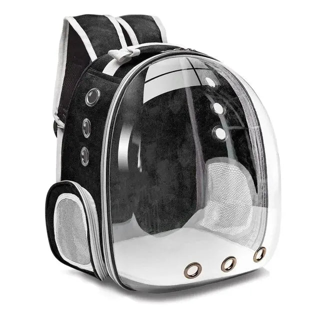 Bubble capsule pet backpack worn on the back