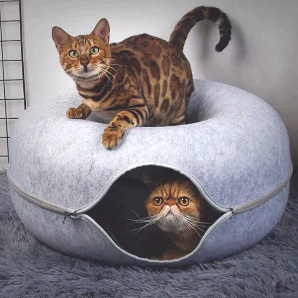 Raised rim and plush padding of the PurrNest cat bed