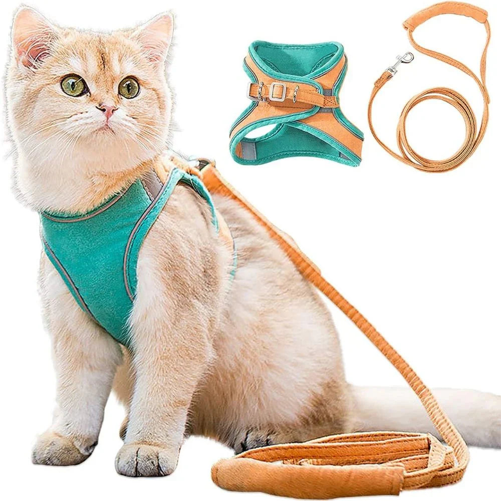Oscar escape-resistant cat harness
