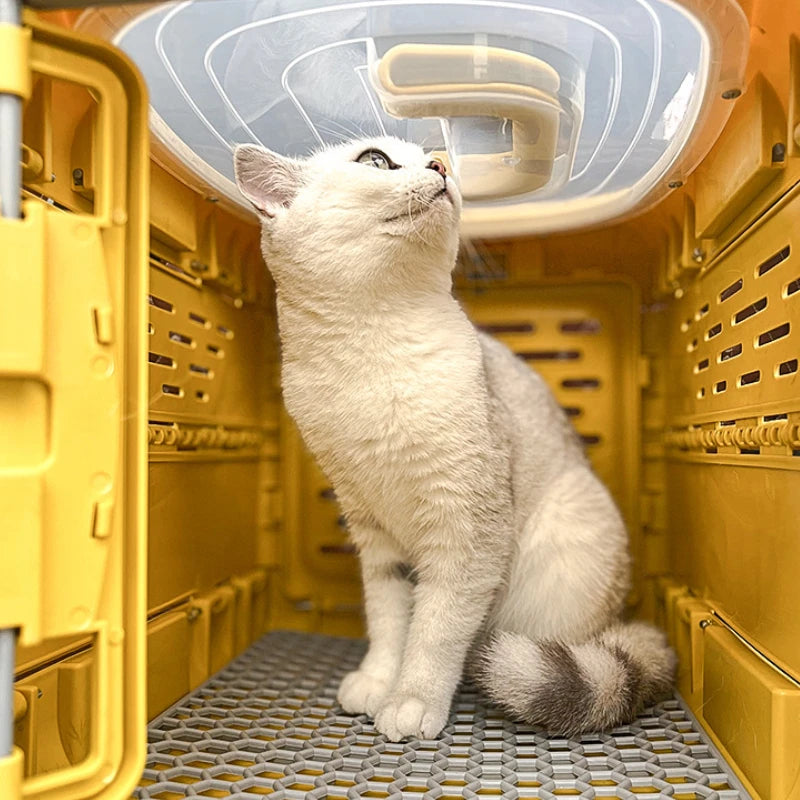 Pet travel crate folded flat