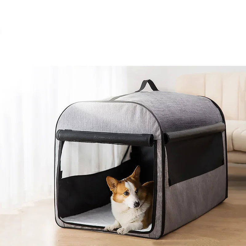Dog inside the foldable carrier