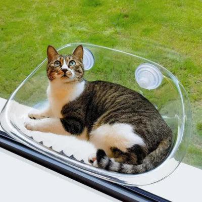 WindowView cat window perch