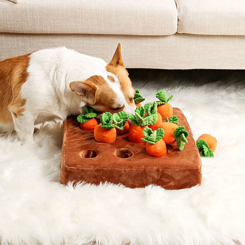 Carrot snuffle garden interactive dog puzzle toy