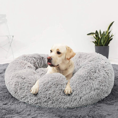 Premium round dog bed with raised rim