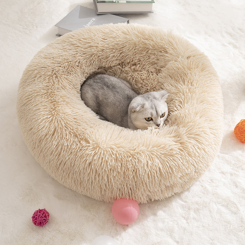 Cat curled up in the cloud bed