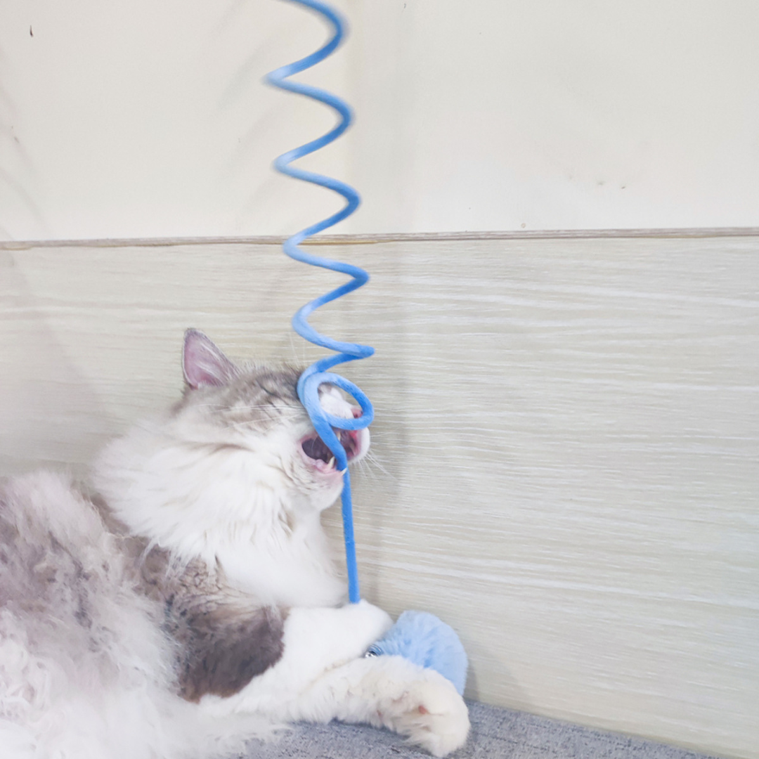 Elastic rope and pom-pom of the bouncy cat toy