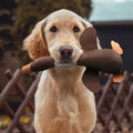 ToughGoose durable dog chew toy two pack