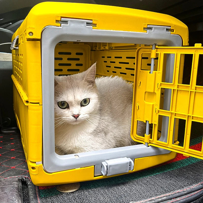Foldable pet travel crate