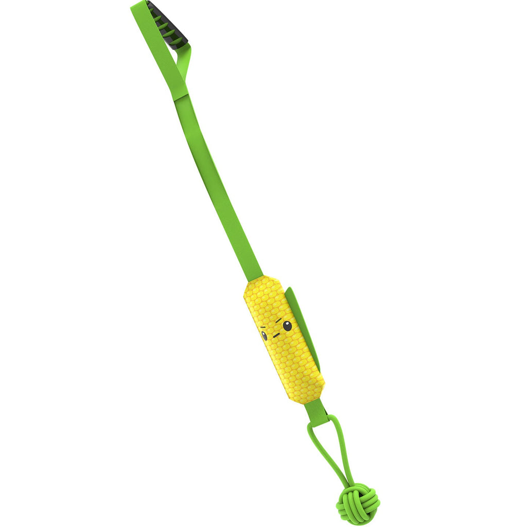Eagle design dog tug toy