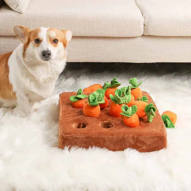 Dog pulling toy carrots out of the snuffle garden