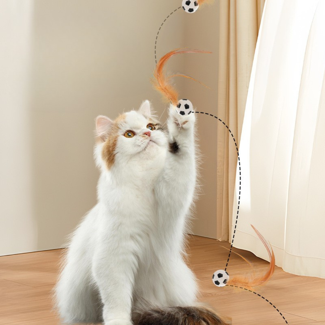 Rubber feather bouncy toy dimensions