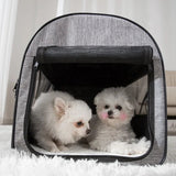 Practical foldable dog carrier