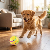 Sturdy durable self-rolling dog play ball
