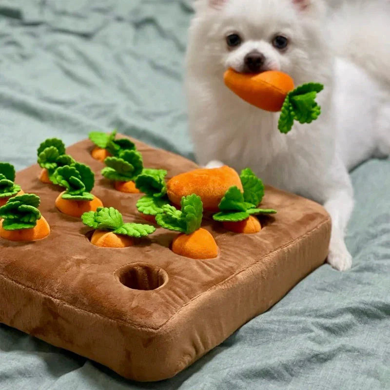 Twelve treat compartments in the carrot snuffle garden