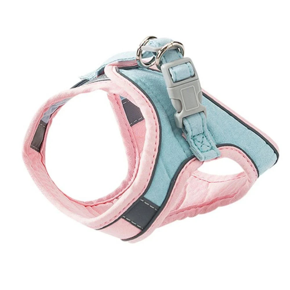Cat wearing the Oscar step-in harness outdoors