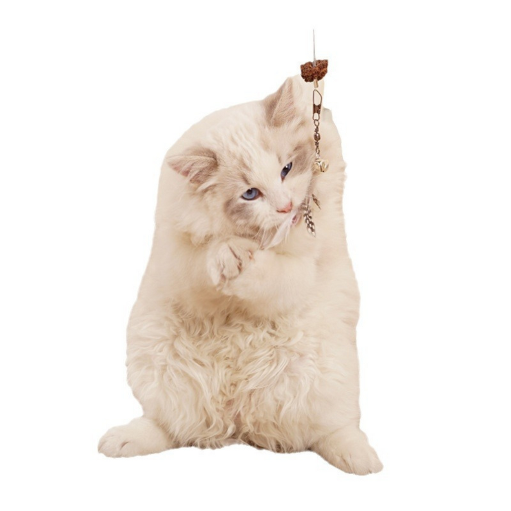 Hanging treat toy mounted on a door