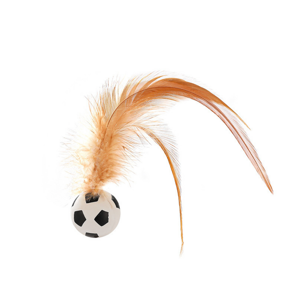 Kitten playing with the bouncy feather toy