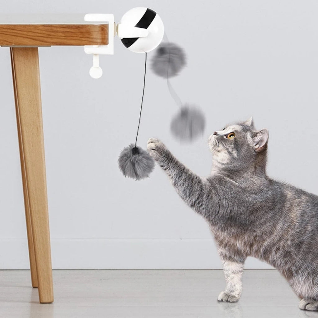 Lifting ball electric cat toy dimensions