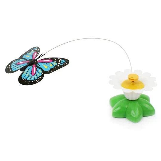 PawFlutter toy in butterfly and hummingbird styles