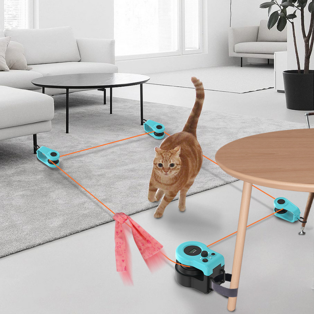 Cat chasing the moving string on the interactive toy