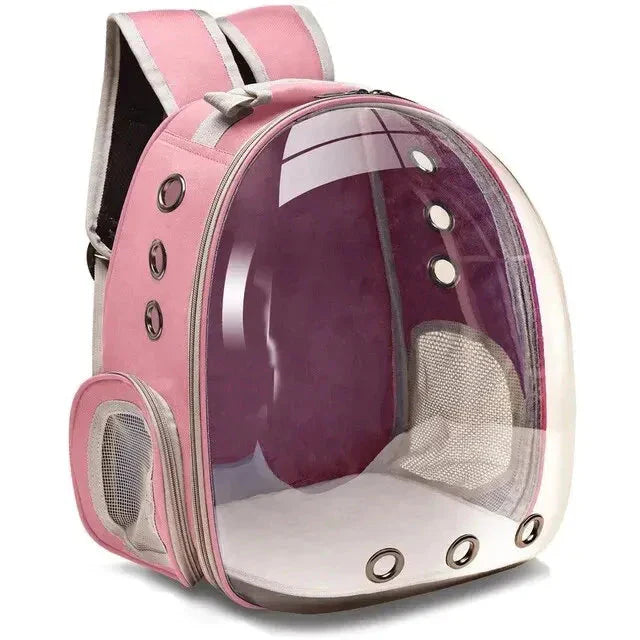 Pet inside the bubble capsule backpack