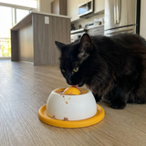 Interactive lick mat slow feeder for cats