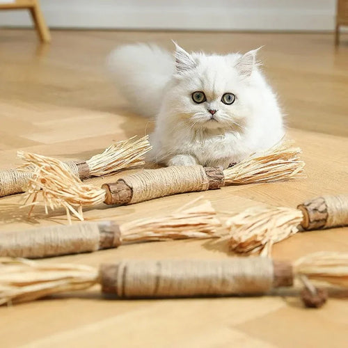 Silvervine dental chew sticks for cats