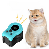String chase interactive cat toy