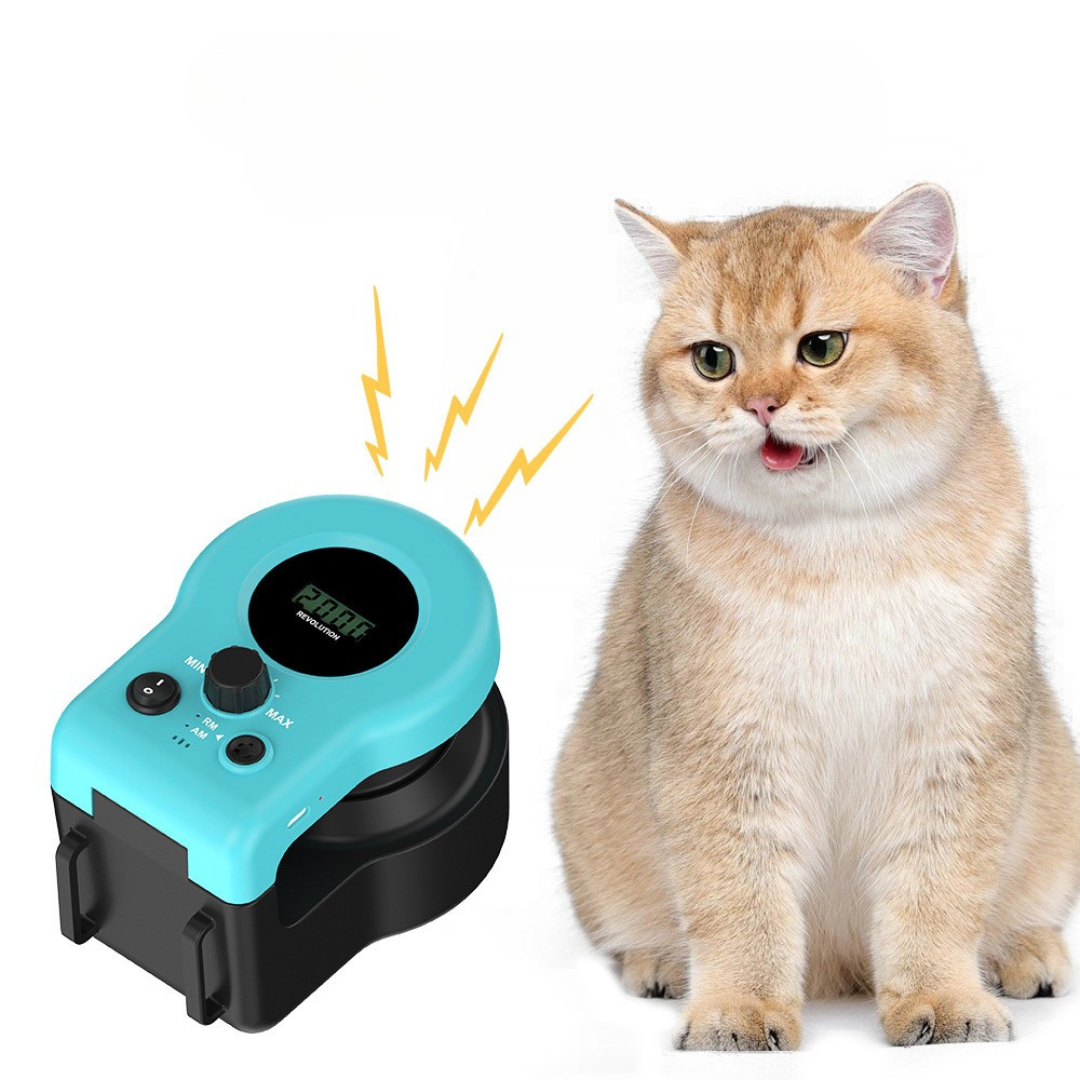 String chase interactive cat toy