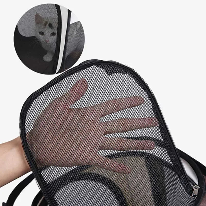 2-in-1 pet drying and travel box