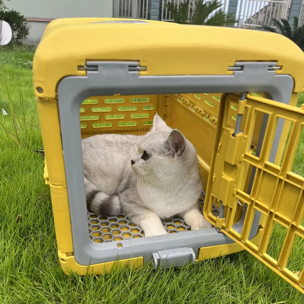 Foldable pet crate with secure latches