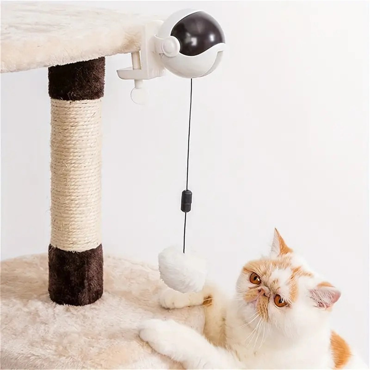 Lifting ball electric motion cat toy