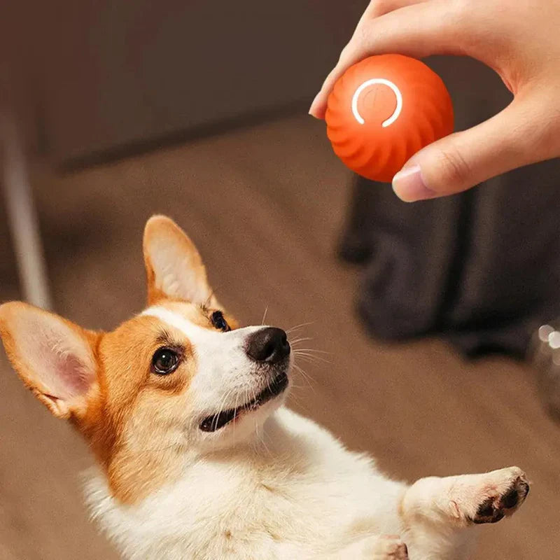 RolliPlay automatic rolling dog toy