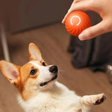 RolliPlay automatic rolling dog toy